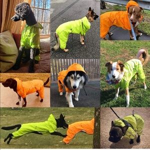 Orange dog raincoat